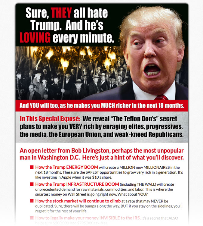 Landing Page Design sample